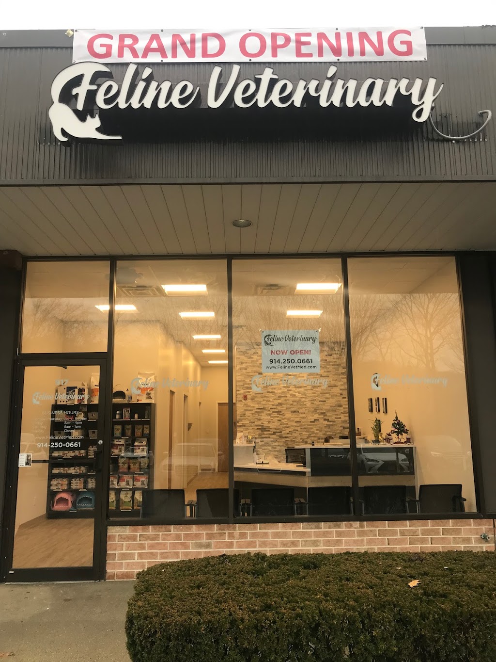 Feline Veterinary Medical Center | 917 Saw Mill River Rd, Ardsley, NY 10502 | Phone: (914) 250-0661