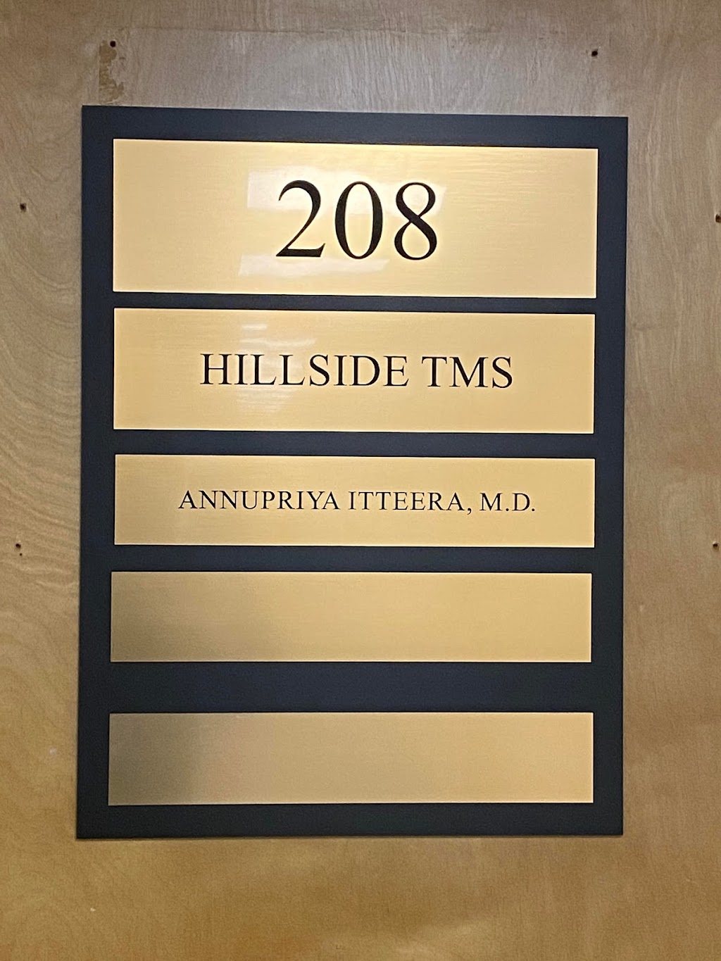 Hillside TMS | 1575 Hillside Avenue, New Hyde Park, NY 11040 | Phone: (516) 888-9394