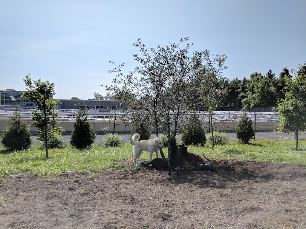 Grass Island Dog Park | Grass Island Rd, Greenwich, CT 06830 | Phone: (203) 622-7814