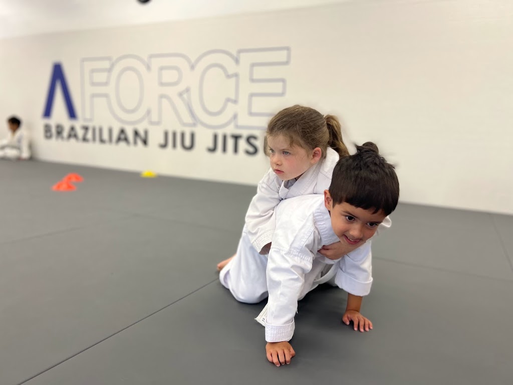 A-Force Brazilian Jiu Jitsu Academy Syosset | 235 Robbins Ln #2, Syosset, NY 11791 | Phone: (516) 344-7812