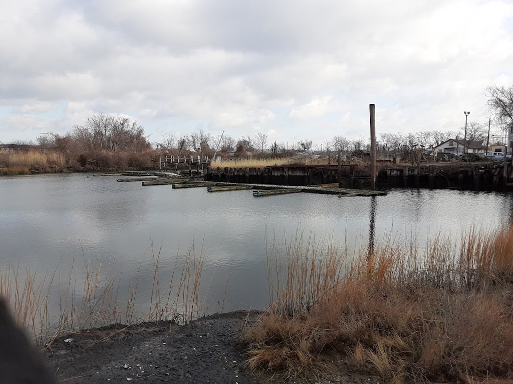 Seagirt Avenue Wetlands | Seagirt Ave. &, Beach 4th St, Far Rockaway, NY 11691 | Phone: (212) 639-9675