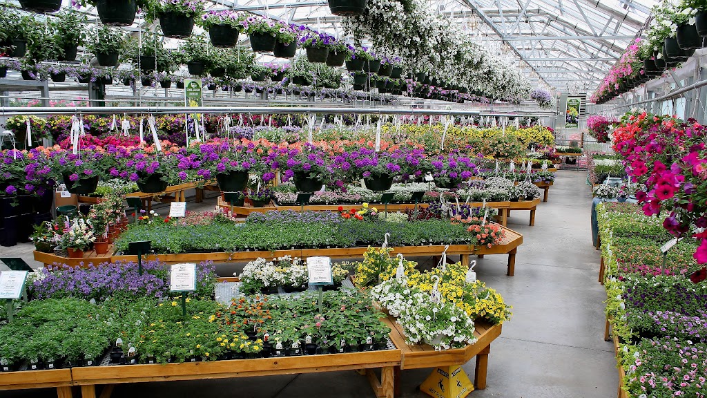 Sam Bridge Nursery & Greenhouses | 437 North Street, Greenwich, CT 06830 | Phone: (203) 869-3418