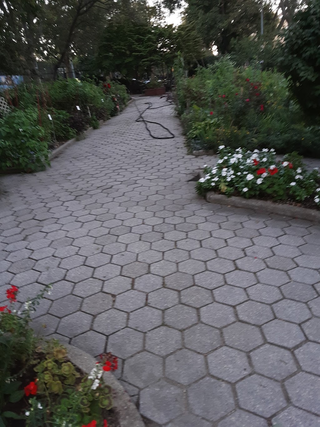 Highland Park Community Garden | 398 Jamaica Ave, Brooklyn, NY 11207 | Phone: (718) 235-4100