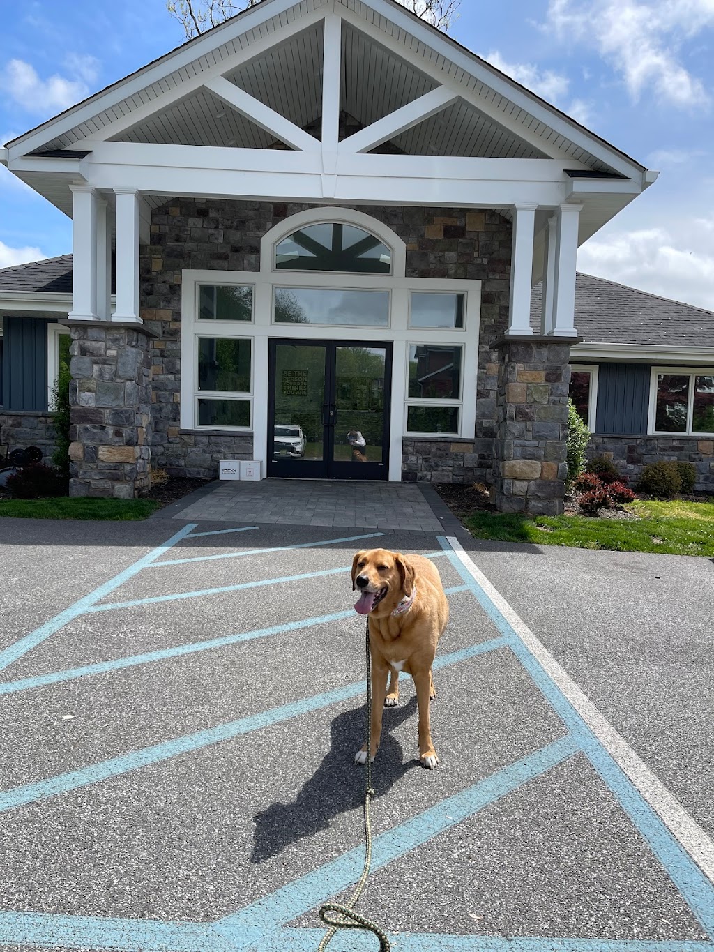 Palisades Veterinary Hospital | 37 Hunt Rd, Orangeburg, NY 10962 | Phone: (845) 398-7387