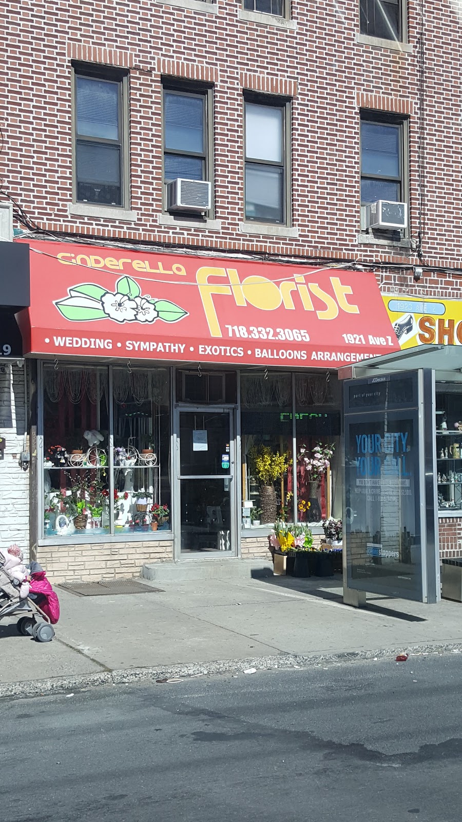 Cinderella Florist | 1921 Avenue Z, Brooklyn, NY 11235 | Phone: (718) 332-3065