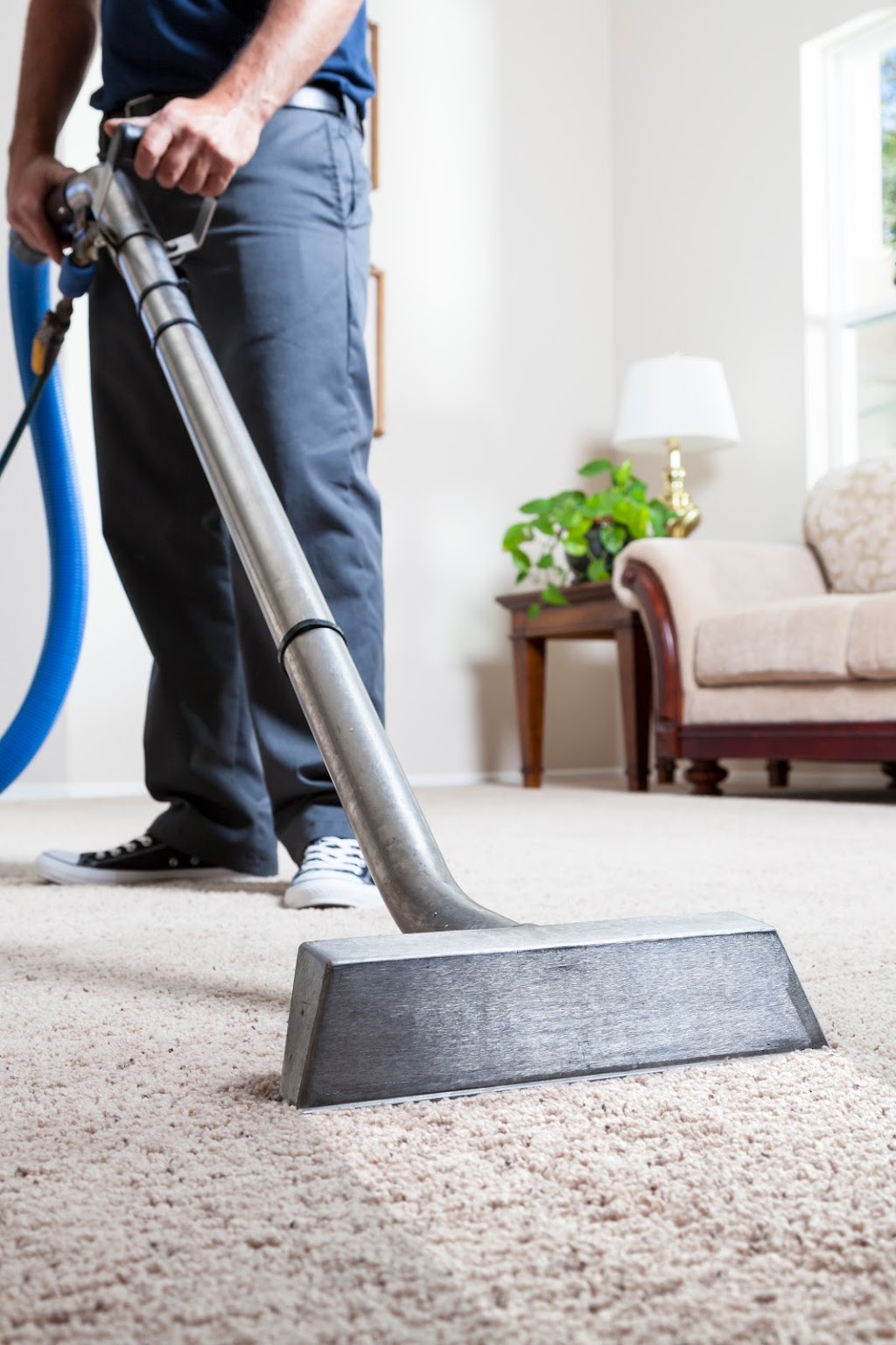 NY Carpet Cleaner | 248-19 83rd Ave, Queens, NY 11426 | Phone: (718) 399-1470