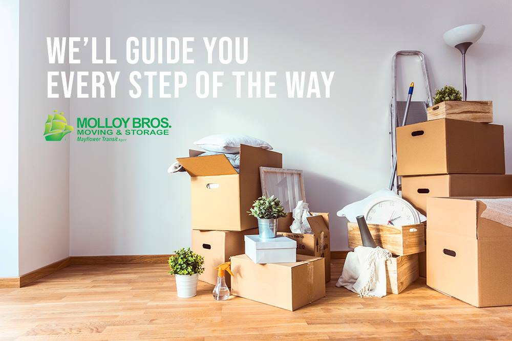 Molloy Moving & Storage | 66-35 Otto Rd, Glendale, NY 11385 | Phone: (718) 895-1900