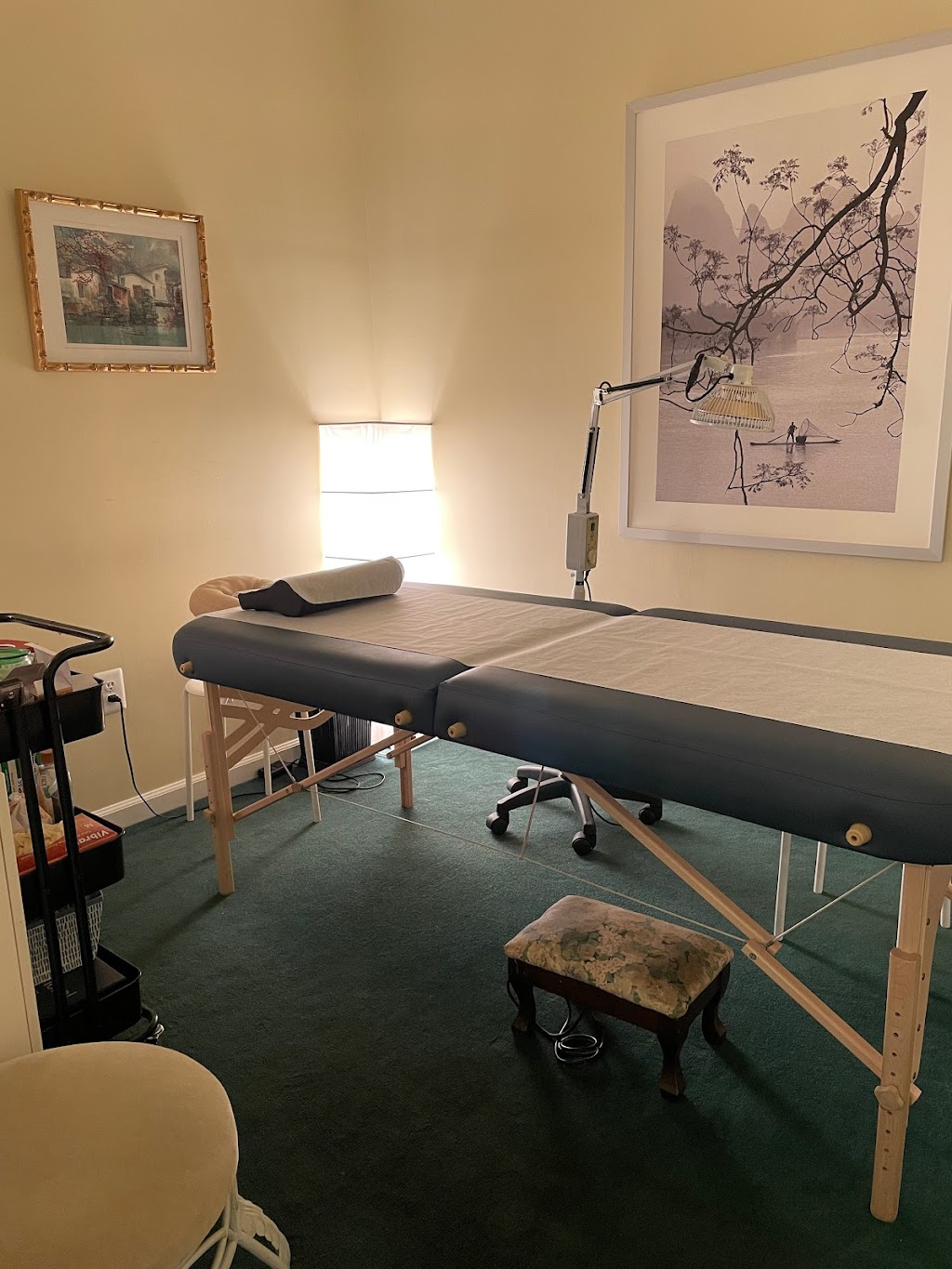 JP Acupuncture Care | 105 Shad Row, Piermont, NY 10968 | Phone: (201) 344-3769