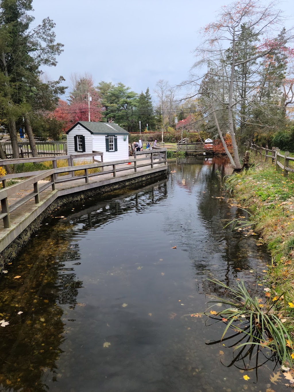 Cold Spring Harbor Fish Hatchery & Aquarium | 1660 NY-25A, Cold Spring Harbor, NY 11724 | Phone: (516) 692-6768