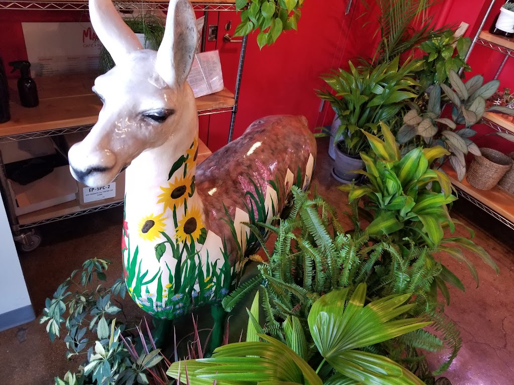 Mae Mae Café & Plant Shop | 2417 Third Ave, Bronx, NY 10451 | Phone: (212) 337-6098