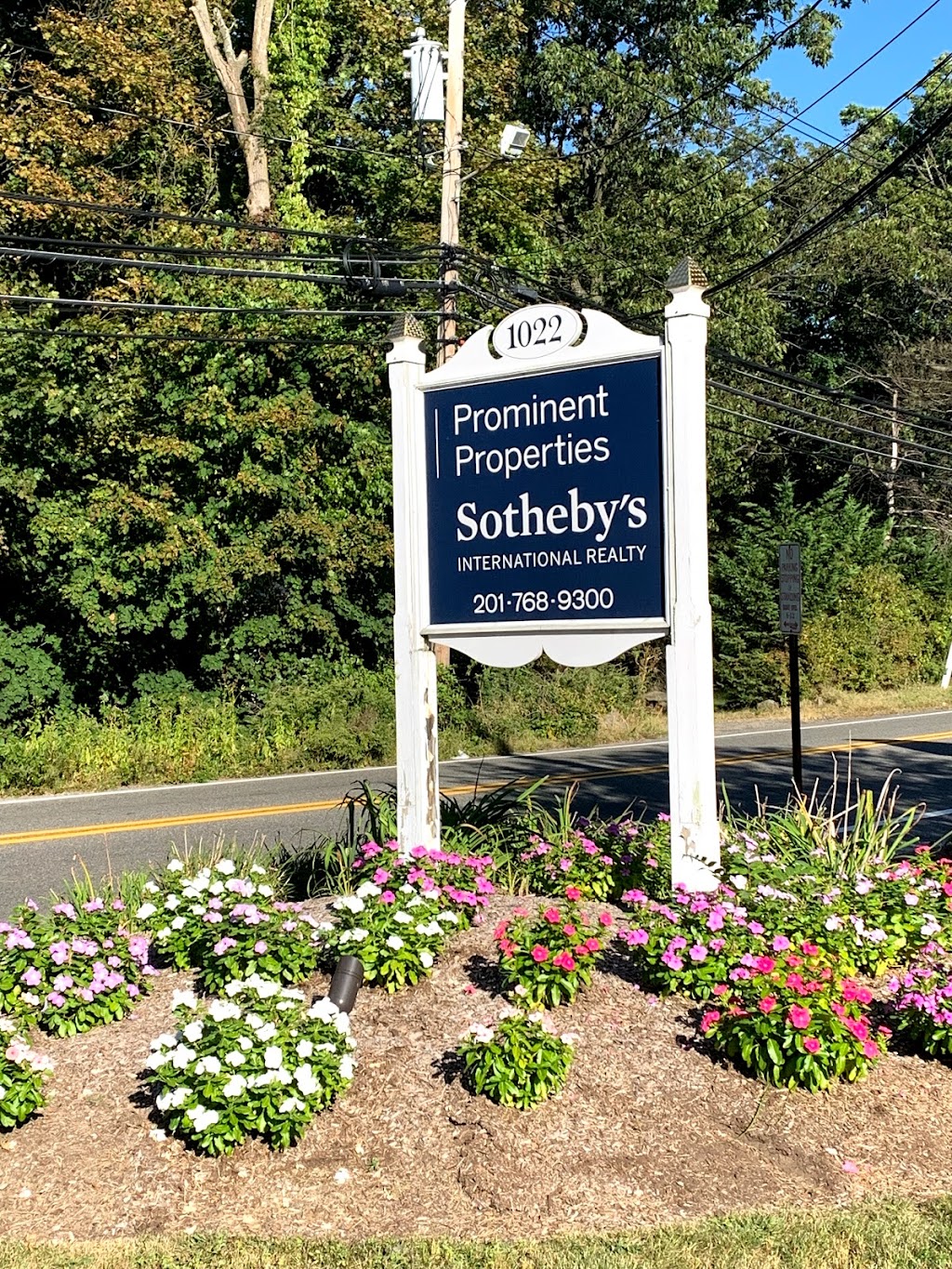 Prominent Properties Sothebys International Realty | 1022 Closter Dock Rd, Alpine, NJ 07620 | Phone: (201) 768-9300