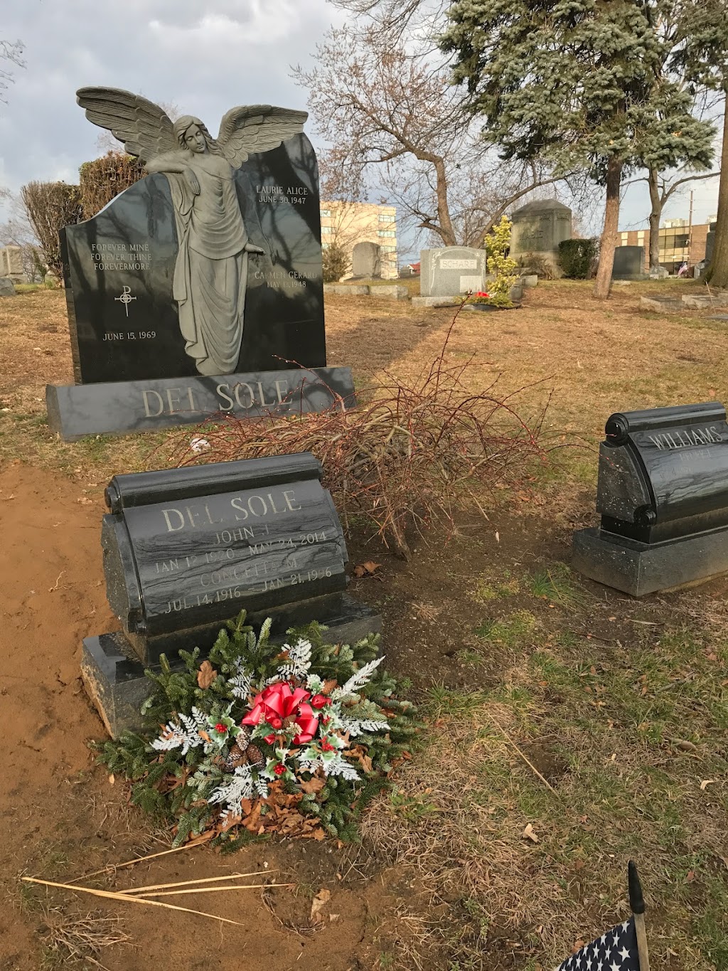 Maple Grove Park Cemetery Association | 535 Hudson St, Hackensack, NJ 07601 | Phone: (201) 440-1607