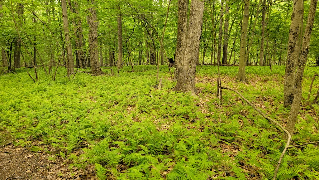 Closter Nature Center | 154 Ruckman Rd, Closter, NJ 07624 | Phone: (201) 800-2008