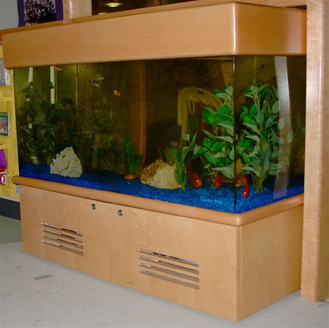 Aquarius Aquariums | 214 Riverside Dr #511, New York, NY 10025 | Phone: (212) 749-4970