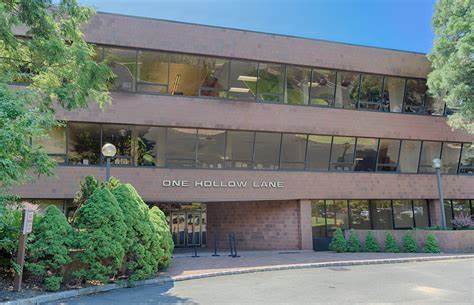 Brian J. Snyder, M.D. | One Hollow Ln Suite 212, Lake Success, NY 11042 | Phone: (516) 442-2250