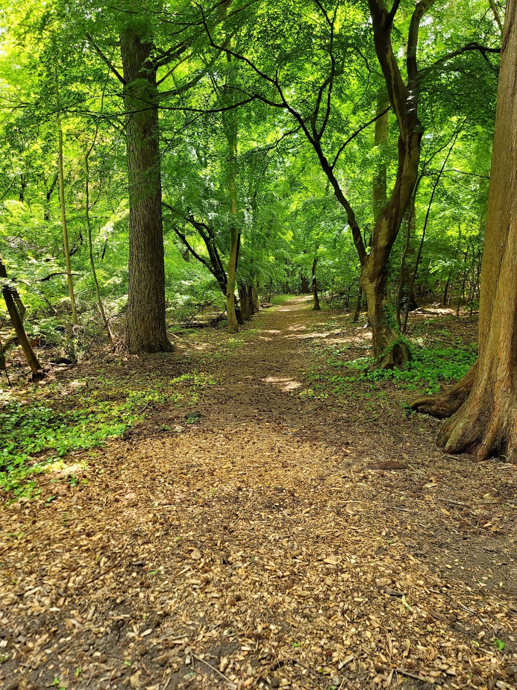 Bailey Arboretum County Park | 216 Bayville Rd, Locust Valley, NY 11560 | Phone: (516) 801-1458