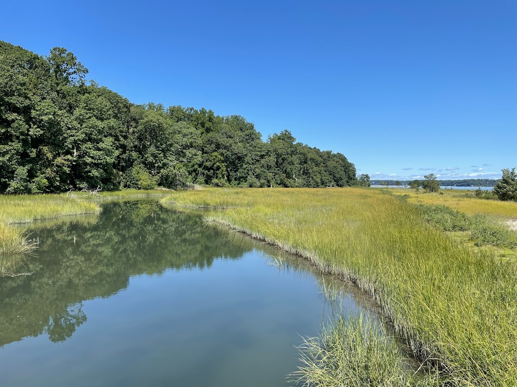 Sagamore Hill National Historic Site | 20 Sagamore Hill Rd, Oyster Bay, NY 11771 | Phone: (516) 922-4788