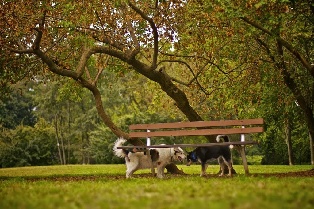 Paws Place Dog Park | 300 Broadfield Rd, New Rochelle, NY 10804 | Phone: (914) 654-2087