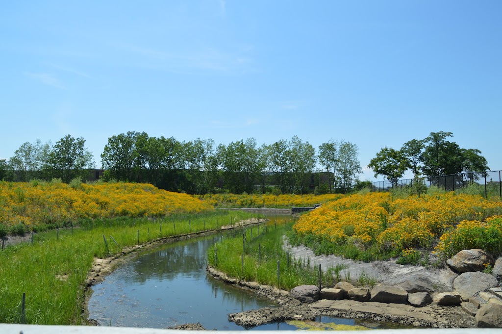 Idlewild Park Preserve Environmental Science Learning Center | 149-20 Springfield Ln, Queens, NY 11413 | Phone: (347) 824-2301