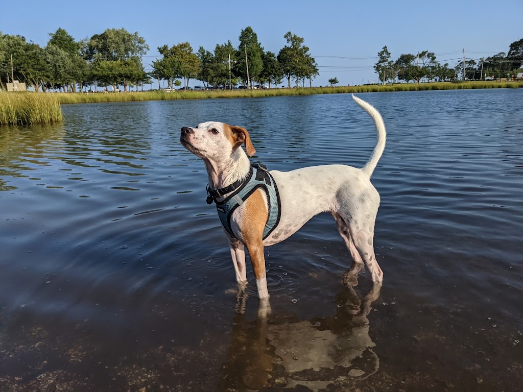 Taylor Farm Dog Park | 7 Calf Pasture Beach Rd, Norwalk, CT 06855 | Phone: (203) 854-7806