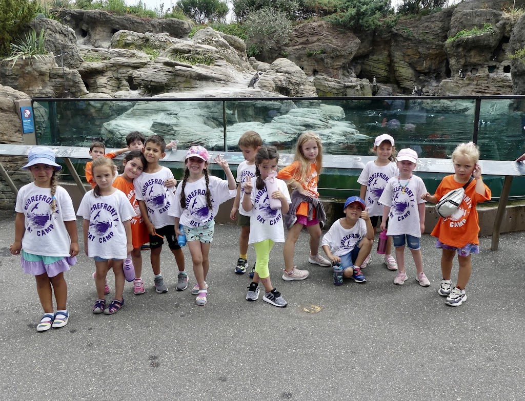 Summer Day Camp at Shorefront Y | 3300 Coney Island Ave, Brooklyn, NY 11235 | Phone: (718) 646-1444