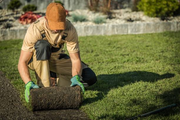 Tony Distefano Landscape Garden Center | 1056 Northern Blvd, Roslyn, NY 11576 | Phone: (516) 627-3524