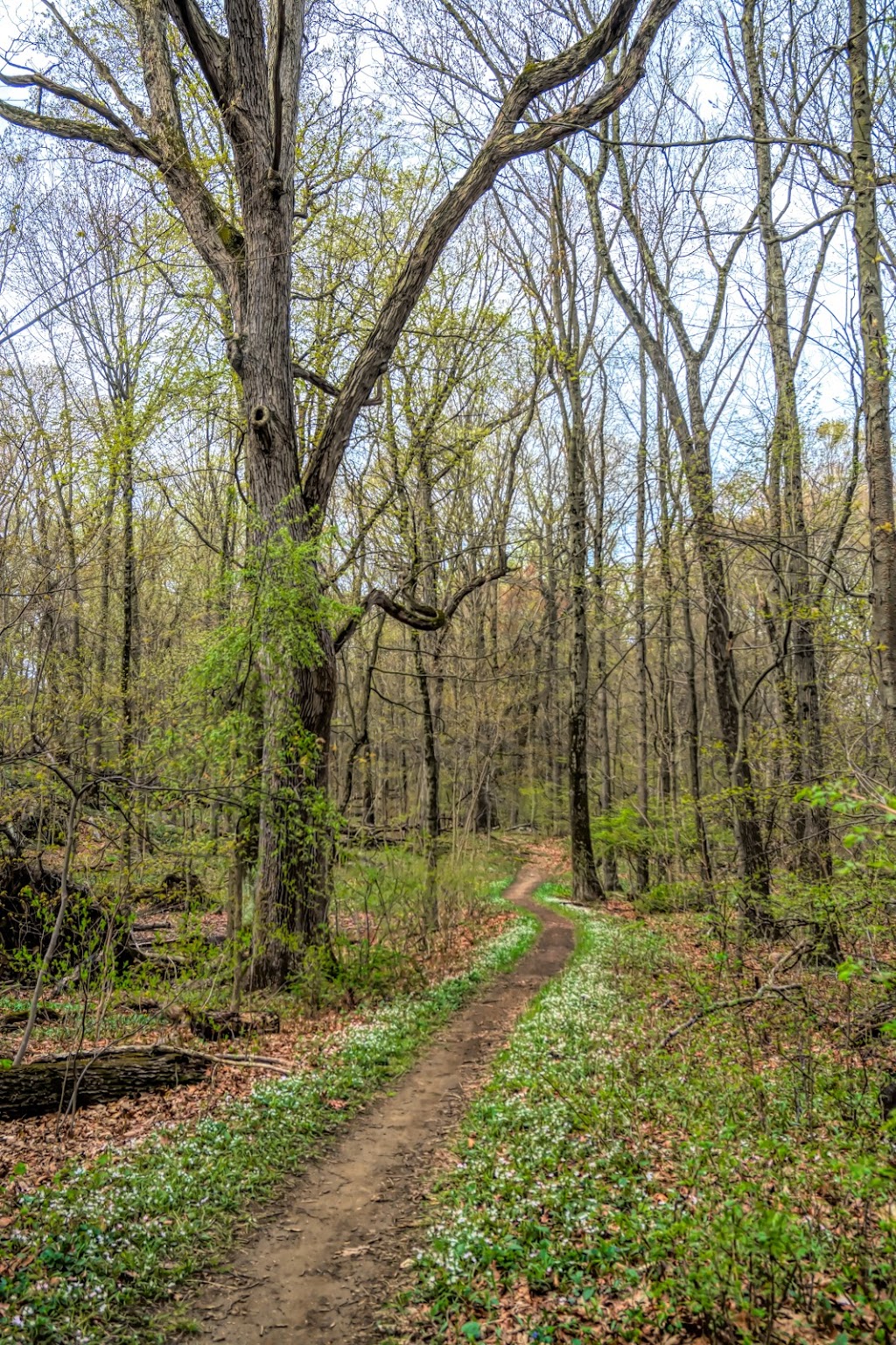 Weinberg Nature Center | 455 Mamaroneck Rd, Scarsdale, NY 10583 | Phone: (914) 722-1289