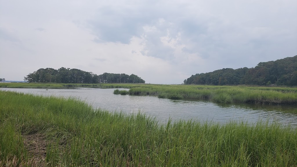 Marshlands Conservancy | 220 Boston Post Rd, Rye, NY 10580 | Phone: (914) 835-4466