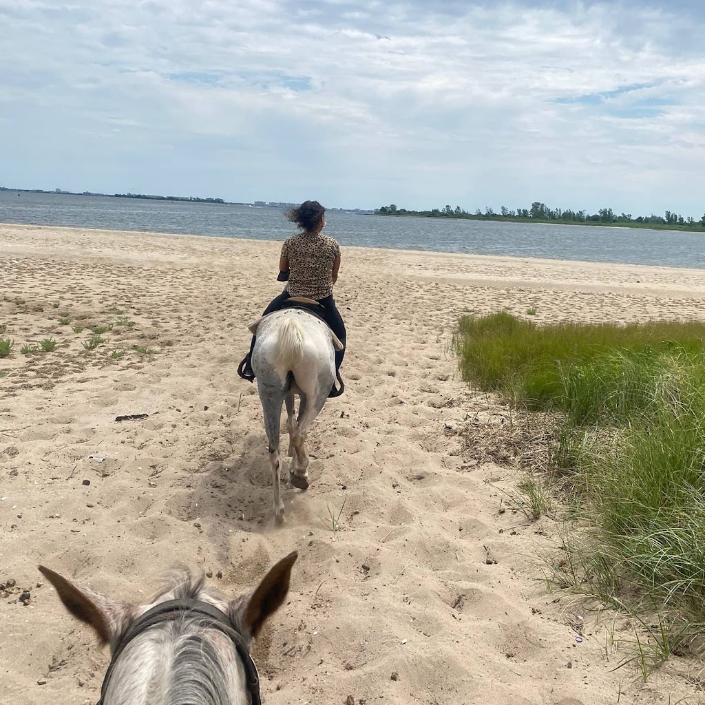 Jamaica Bay Riding Academy | 7000 Shore Pkwy, Brooklyn, NY 11234 | Phone: (718) 531-8949