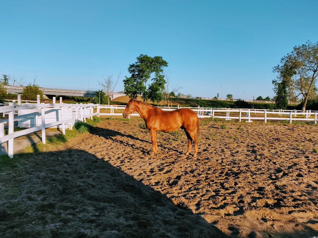 Jamaica Bay Riding Academy | 7000 Shore Pkwy, Brooklyn, NY 11234 | Phone: (718) 531-8949