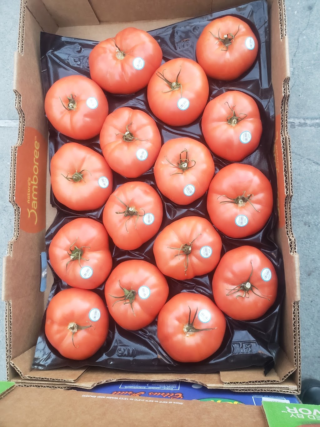 Jacobs Tomato corp | 21 Columbia St, Brooklyn, NY 11231 | Phone: (646) 493-2225