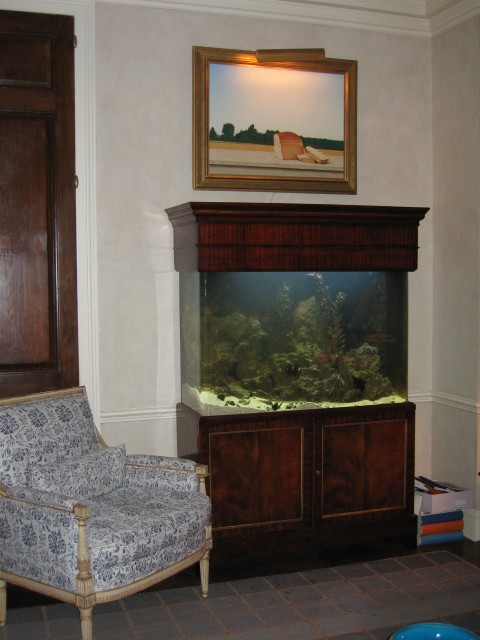 Aquarius Aquariums | 214 Riverside Dr #511, New York, NY 10025 | Phone: (212) 749-4970