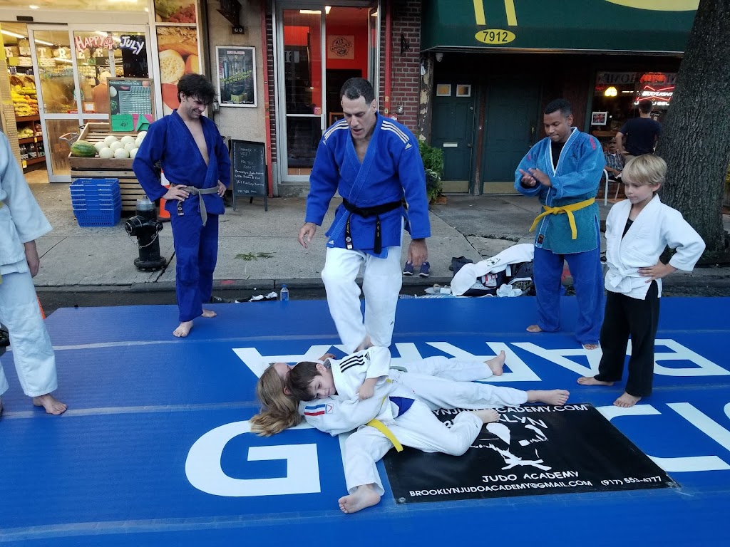 Brooklyn Judo Academy | 7914 3rd Ave, Brooklyn, NY 11209 | Phone: (917) 553-4777