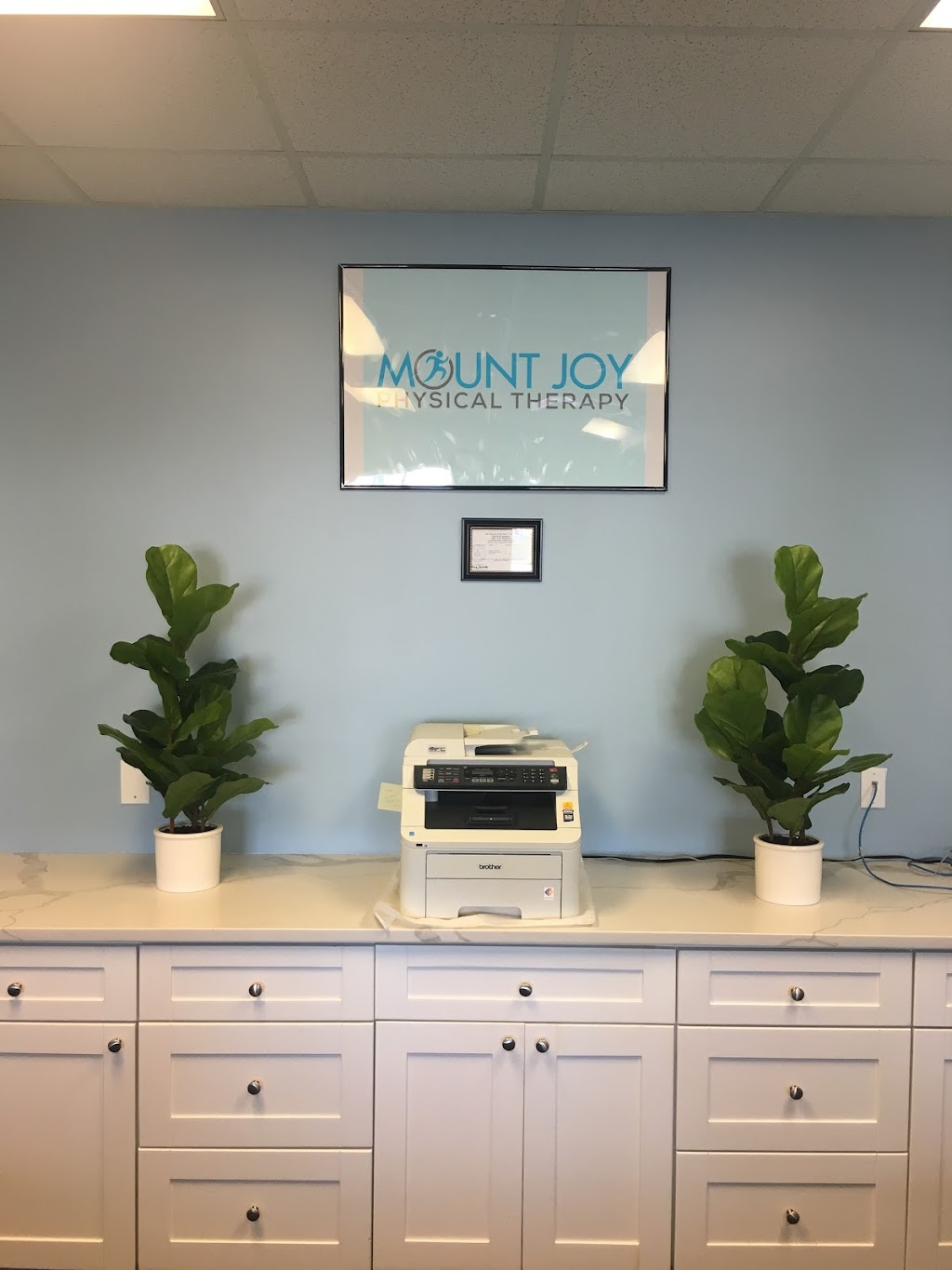 Mount Joy Physical Therapy, P.C. | 312 Long Beach Rd, Island Park, NY 11558 | Phone: (516) 447-6666