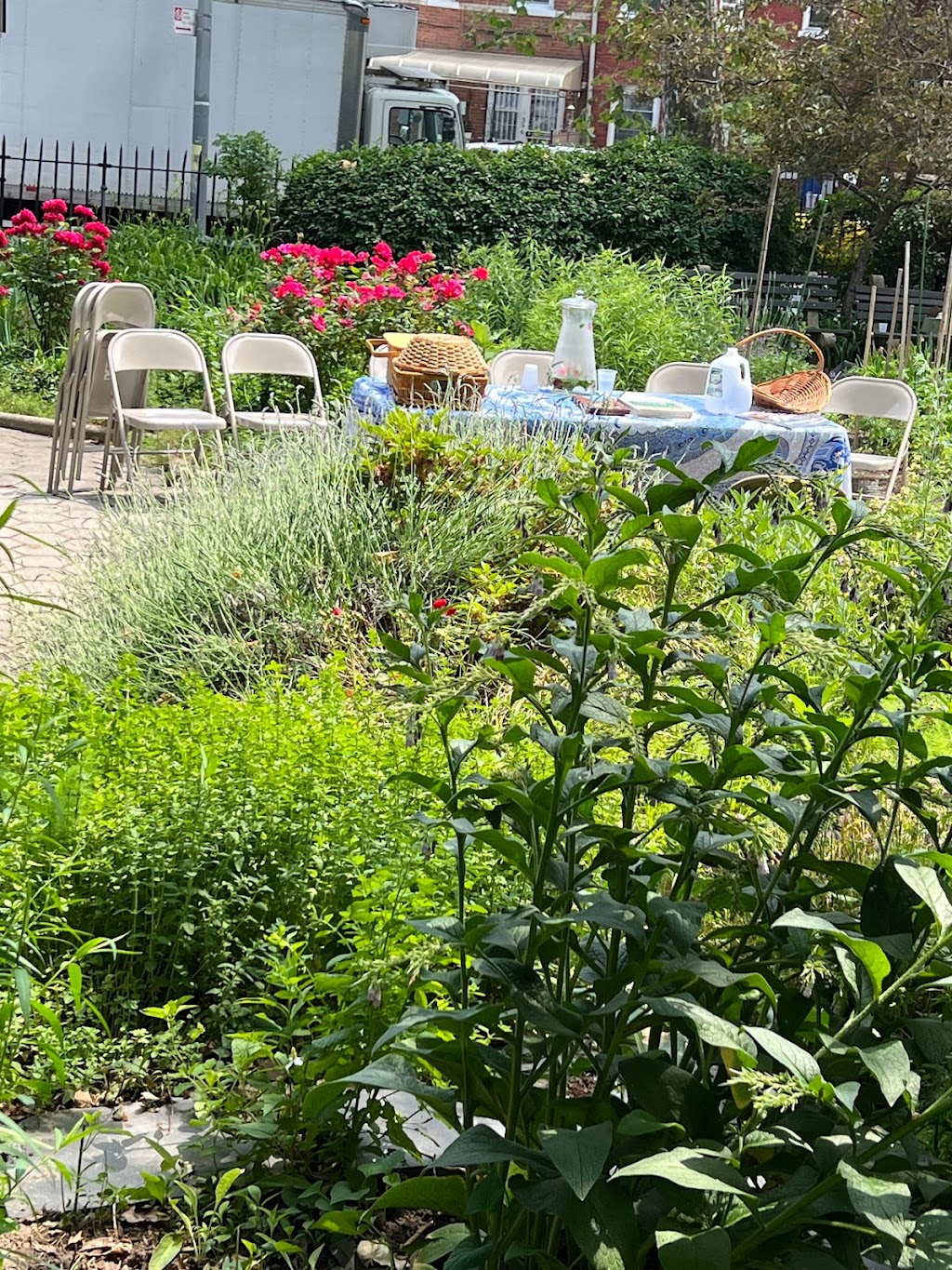 Highland Park Community Garden | 398 Jamaica Ave, Brooklyn, NY 11207 | Phone: (718) 235-4100