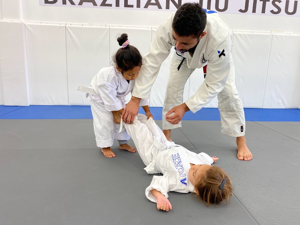 A-Force Brazilian Jiu Jitsu Academy Manhasset | 81 E Shore Rd, Manhasset, NY 11030 | Phone: (516) 344-7812