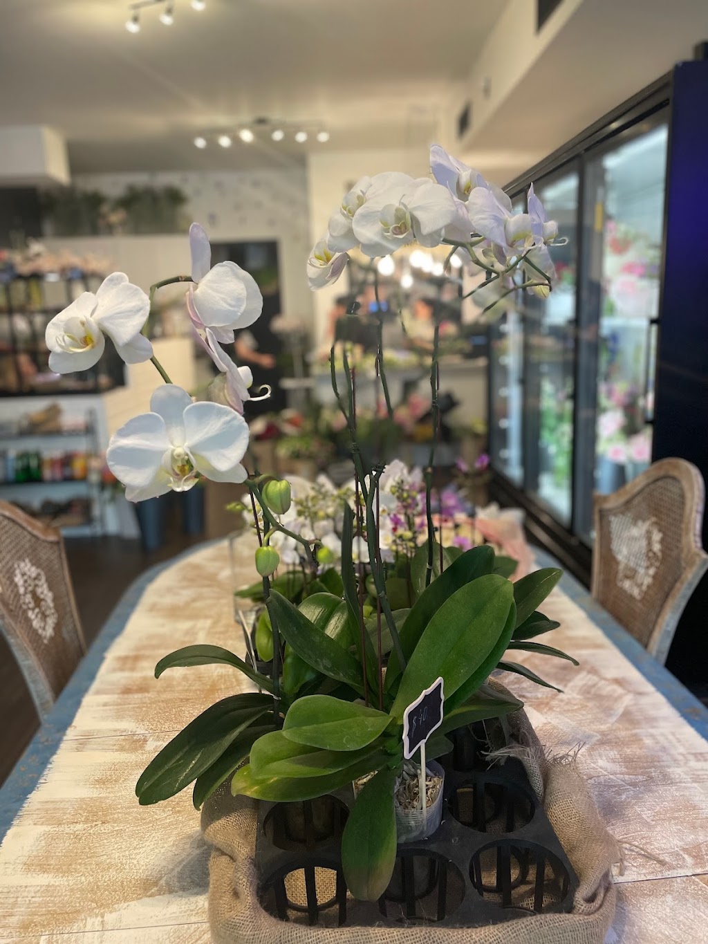 Meraki Flowers NYC | 7904 3rd Ave, Brooklyn, NY 11209 | Phone: (929) 500-0165