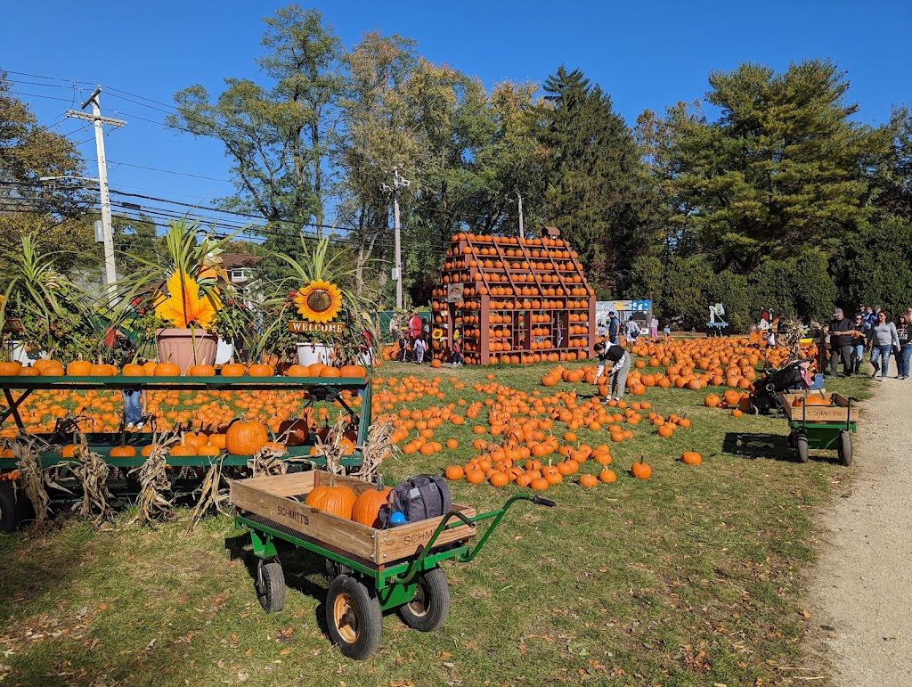 Albert H. Schmitt Family Farms on Bagatelle! | 6 Bagatelle Rd, Dix Hills, NY 11746 | Phone: (631) 549-3276