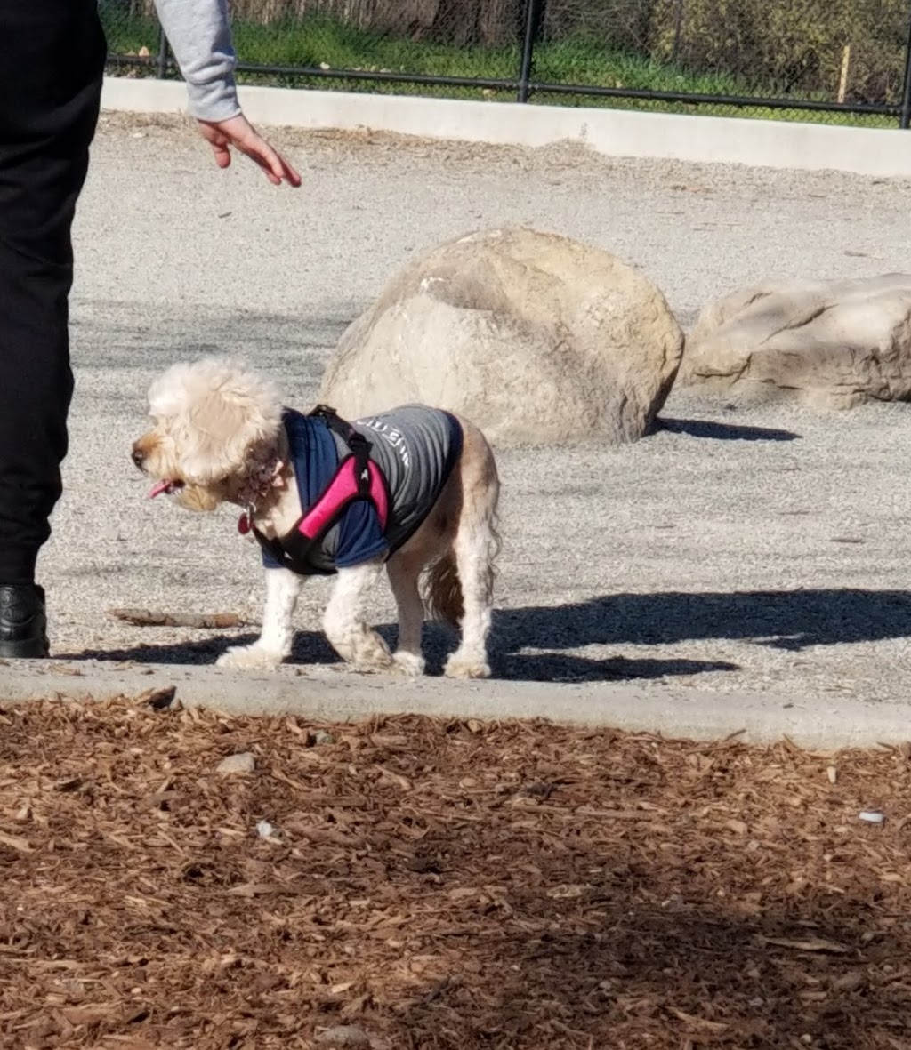 Pelham Bay Dog Run | Unnamed Road, Bronx, NY 10465 | Phone: (212) 639-9675