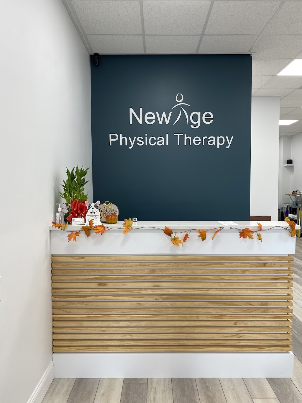 New Age Physical Therapy | 3249 Francis Lewis Blvd, Queens, NY 11358 | Phone: (718) 224-3818