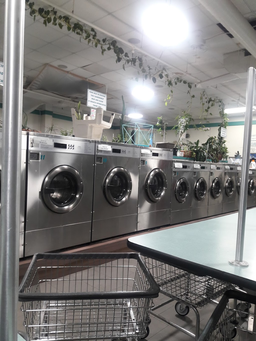 East Rock Laundromat Corporation | 260 Atlantic Ave, East Rockaway, NY 11518 | Phone: (516) 825-6838