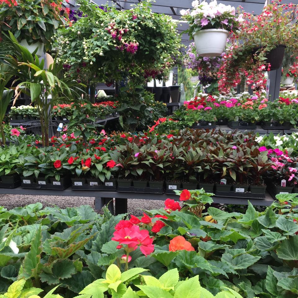 North Shore Garden Center | 53 Avenue A, Port Washington, NY 11050 | Phone: (516) 883-8066