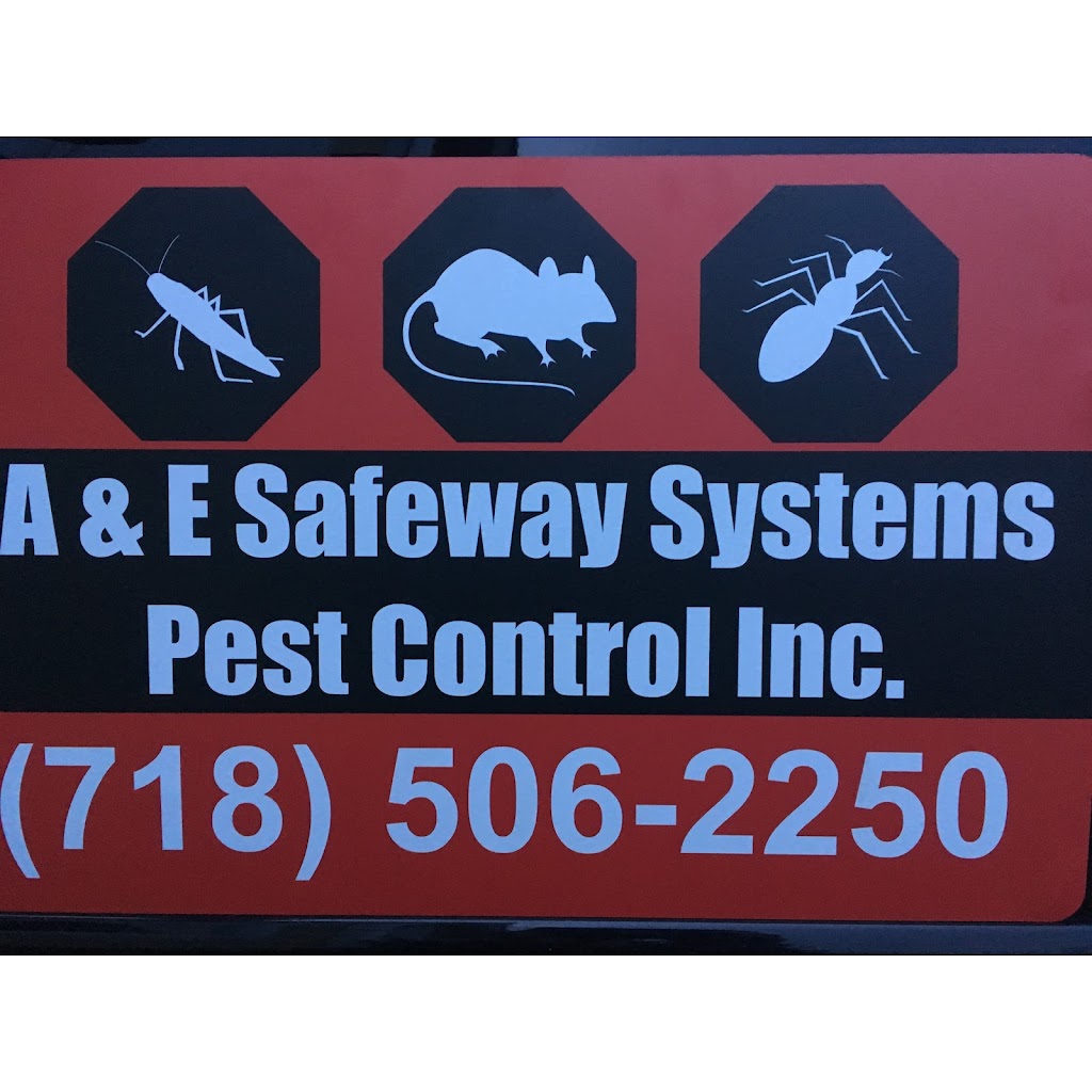 A and E Safeway Systems Pest Control Inc. | 189 Schofield St, Bronx, NY 10464 | Phone: (718) 220-1410