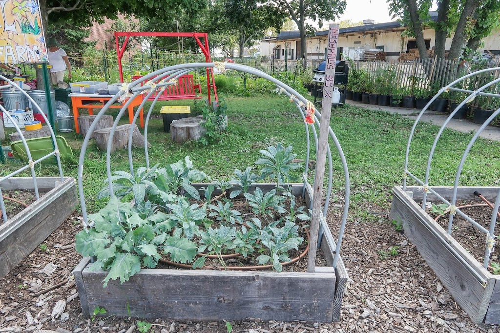 Governors Island Teaching Garden | 778 Enright Rd, New York, NY 10004 | Phone: (212) 788-7900