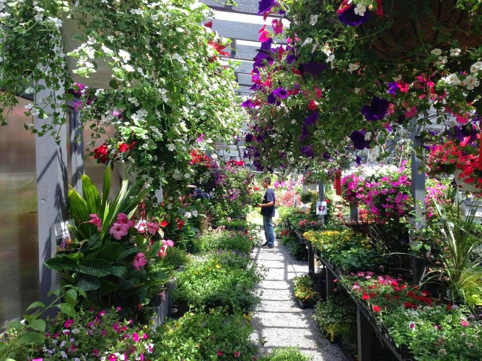 North Shore Garden Center | 53 Avenue A, Port Washington, NY 11050 | Phone: (516) 883-8066