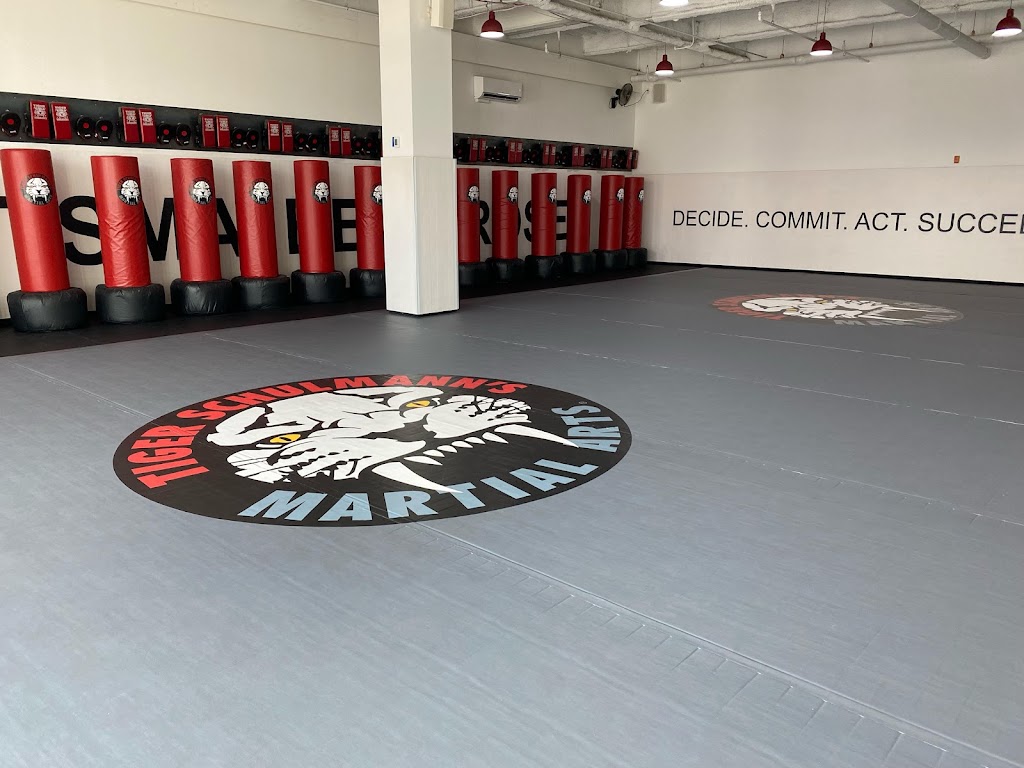 Tiger Schulmanns Martial Arts (Queens-Bellerose, NY) | 251-73 Jericho Turnpike, Queens, NY 11426 | Phone: (718) 737-9117