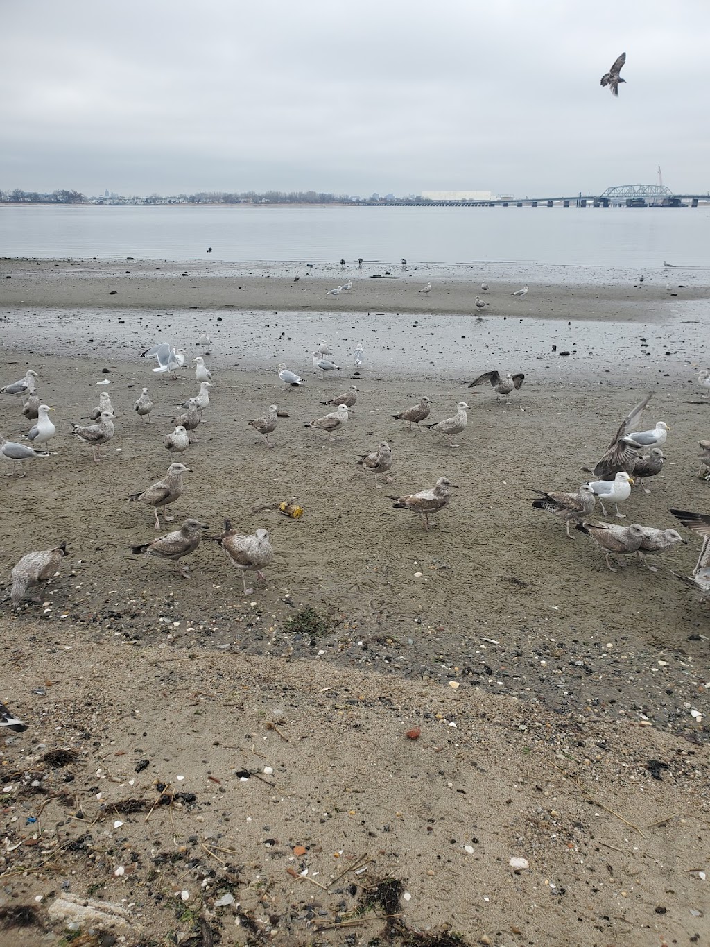 Jamaica Bay Wildlife Refuge Canoe Launch | Far Rockaway, NY 11693 | Phone: (718) 758-3671