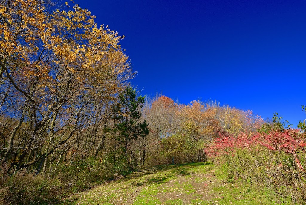 Bill Paterson Nature Center | 34 Muttontown Ln, Syosset, NY 11791 | Phone: (516) 571-8500