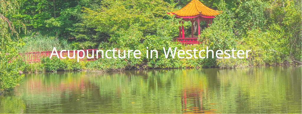 Jean Shen Acupuncture | 154 E Boston Post Rd, Mamaroneck, NY 10543 | Phone: (914) 835-2241