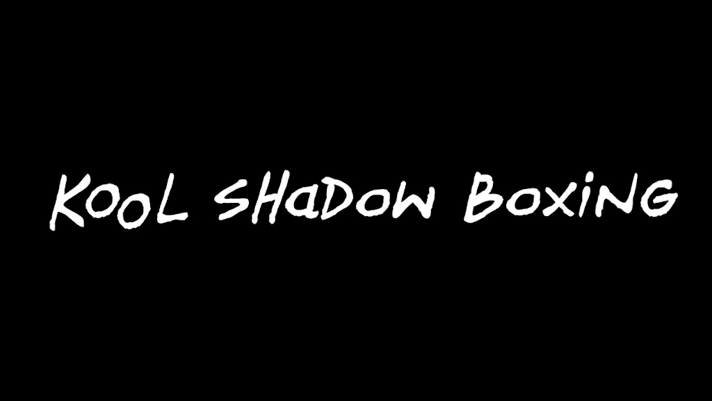 Kool ShadowBoxing KLub | Kool ShadowBoxing KLuB, 748 N Wellwood Ave, Lindenhurst, NY 11757 | Phone: (631) 412-3918